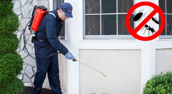 Kozlu Fare İlaçlama böcek ilaçlama ve haşere kontrolü — ilaclama-tr.com